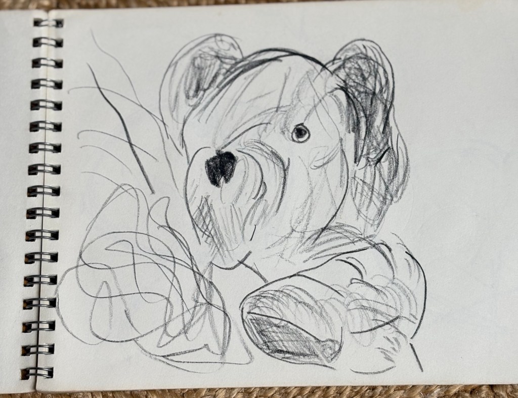 A sketch of a teddy bear